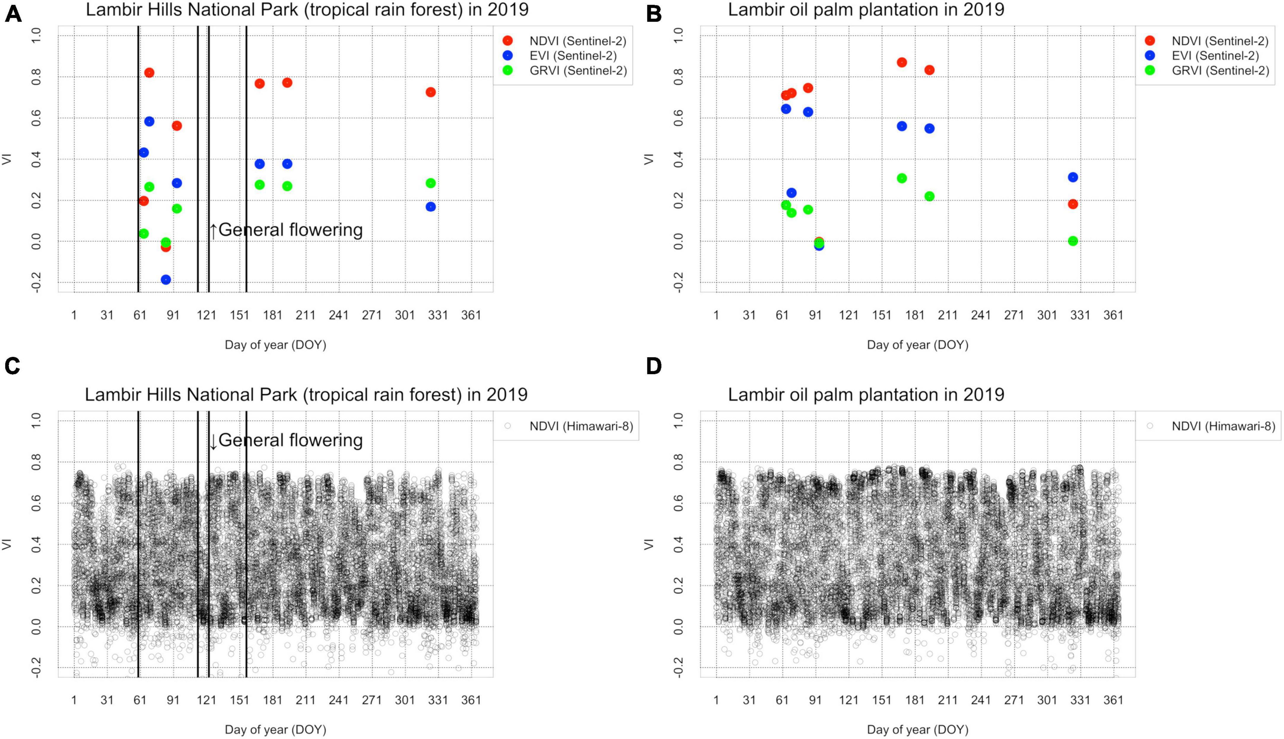 Perspective: Improving the accuracy of plant phenology observations and land-cover and land-use detection by optical satellite remote-sensing in the Asian tropics